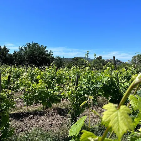 Acquasale * Agropoli