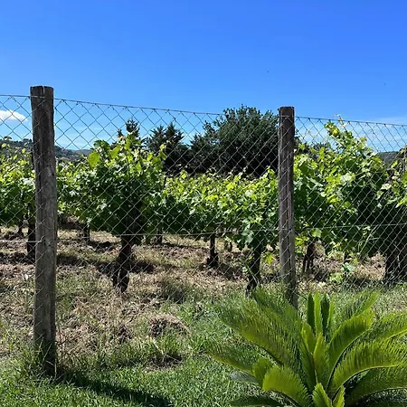 Acquasale Апартаменты Агрополи