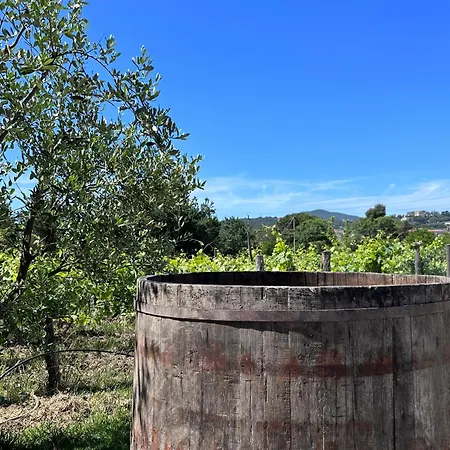 Апартаменты Acquasale